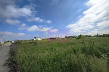 Teren ușor accesibil pentru casă la asfalt cu utilități anunturi imobiliare Bucuresti