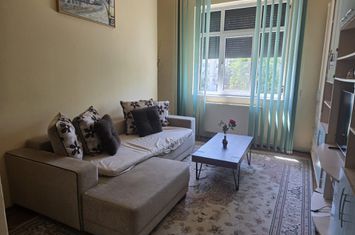 Iancului Ferdinand apartament spatios in vila anunturi imobiliare Bucuresti