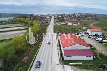 VÂNZARE - HALE DEPOZITARE/PRODUCȚIE/SERVICE AUTO ȘI TEREN - SULIȚA anunturi imobiliare Botosani