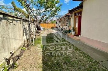 Casa cu 4 camere , 1338mp, Oras Pancota. anunturi imobiliare Arad
