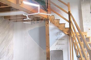 Spațiu comercial de inchiriat Marasti anunturi imobiliare Cluj