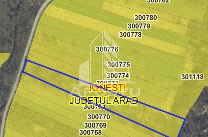 Teren Ignesti Jud. Arad 9814MP anunturi imobiliare Arad