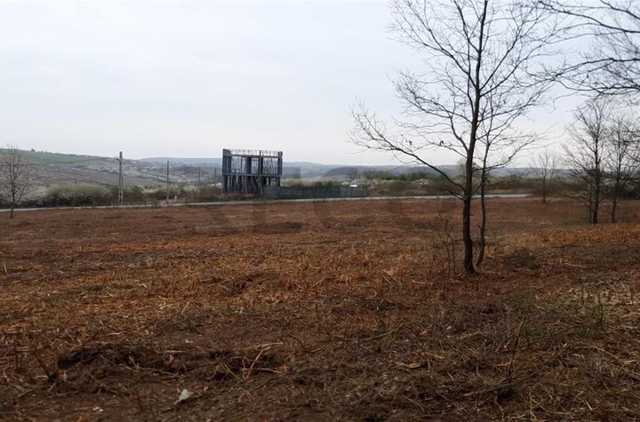 Teren Intravilan de vanzare PALEU  - Bihor anunturi imobiliare Bihor