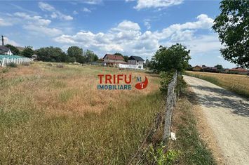 Teren Intravilan de vanzare BARABANT - Alba anunturi imobiliare Alba