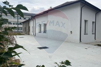 Casă / Vilă cu 5 camere de închiriat în zona Central anunturi imobiliare Iasi