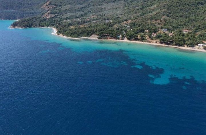 Teren 4348,92 mp în Koinira, Thassos anunturi imobiliare Grecia