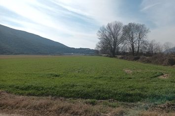 Teren agricol 5.500 mp de închiriat în Moustheni anunturi imobiliare Grecia