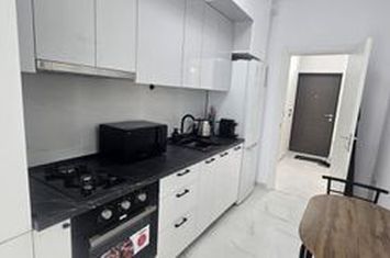 Inchiriere apartament bloc nou 1 camera Unirea Towes anunturi imobiliare Iasi