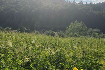 Teren de vanzare PREDEAL - Brasov anunturi imobiliare Brasov