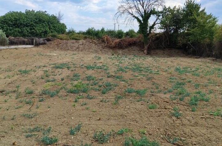 Teren 1093 mp în Choumniko anunturi imobiliare Grecia