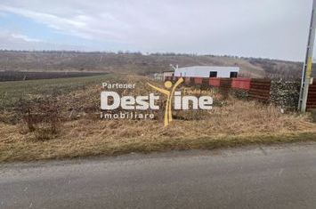 Teren de vanzare GIROV - Neamt anunturi imobiliare Neamt