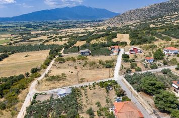 Teren intravilan 891,20 mp în Vrisoula anunturi imobiliare Grecia