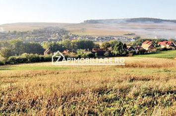 Teren 25.000 mp.  Comuna Voiniceni ,12 euro mp.comision ZERO anunturi imobiliare Mures