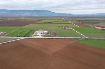 Teren construibil 6073 mp în Ftelia anunturi imobiliare Grecia