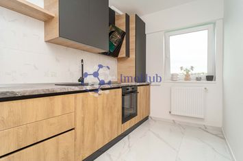 Apartament mobilat si utilat, o camera, investitie Visan, Bucium anunturi imobiliare Iasi