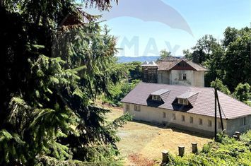 Hotel-bază de tratament, edificat în zonă cu ape sulfuroase anunturi imobiliare Salaj