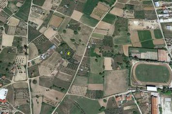 Teren 1.800 mp cu măslini în Nigrita, Serres anunturi imobiliare Grecia
