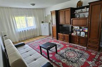 Pantelimon casa parter 2 camere anunturi imobiliare Bucuresti