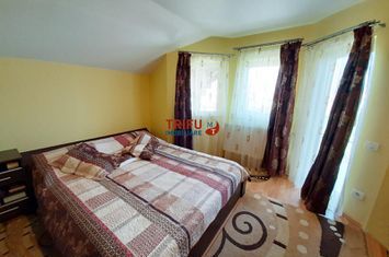 Vilă - 4 camere de inchiriat CENTRAL - Alba anunturi imobiliare Alba