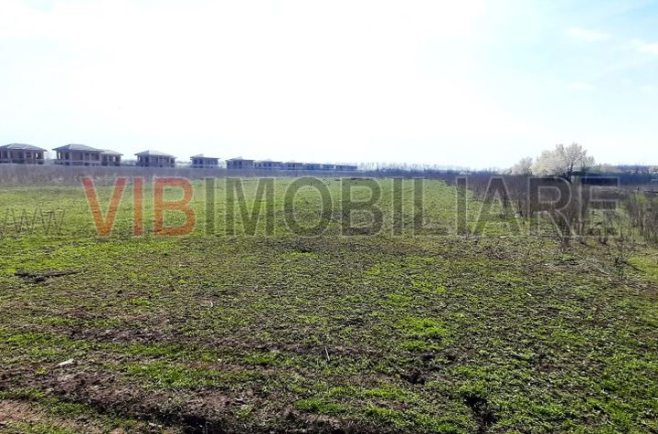 Corbeanca - Tamas, teren intravilan 19.325 mp anunturi imobiliare Bucuresti