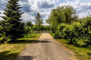 Domeniul Hellburg– 16,27 ha vie + 1,4 ha intravilan anunturi imobiliare Arad