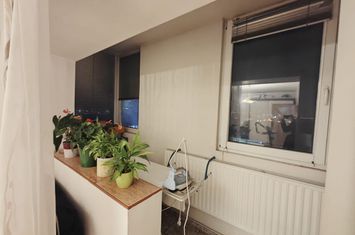 Apartament 3 camere de vanzare COMPLEX STUDENTESC - Timis anunturi imobiliare Timis