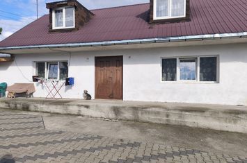 Casă - 4 camere de vanzare NEGOSTINA - Suceava anunturi imobiliare Suceava