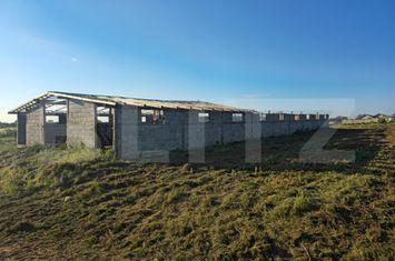 Teren de vanzare CHERIU - Bihor anunturi imobiliare Bihor