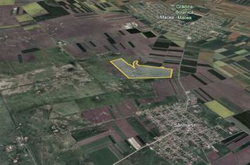 Teren 42 ha pentru parc fotovoltaic – Macea, Arad anunturi imobiliare Arad