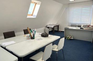 Spațiu de birou 20 mp - ocupabil imediat anunturi imobiliare Mures