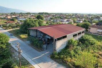 Spațiu comercial - depozit 717 mp în Koudounia anunturi imobiliare Grecia