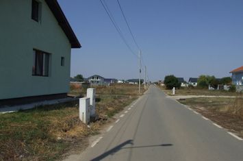 Domnesti-Salciei-stradal anunturi imobiliare Bucuresti