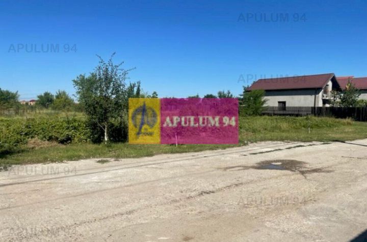 Teren Clinceni- Putu Olteni- Ortansei. anunturi imobiliare Bucuresti