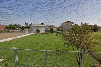 Teren construibil 732 mp, Agia Eleni anunturi imobiliare Grecia