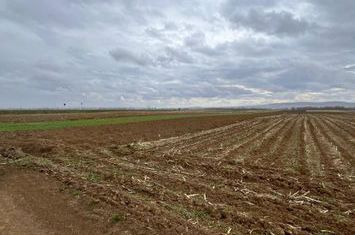 Teren de vanzare HORODNIC - Suceava anunturi imobiliare Suceava