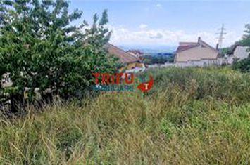 Teren Intravilan de vanzare CETATE - Alba anunturi imobiliare Alba