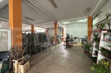 Spațiu comercial de vanzare ZALAU - Salaj anunturi imobiliare Salaj