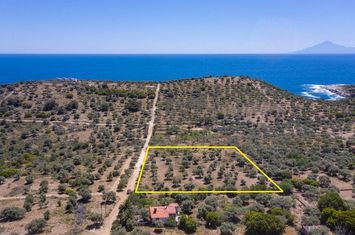 Teren construibil 7.752 mp — Astrida, Thassos anunturi imobiliare Grecia