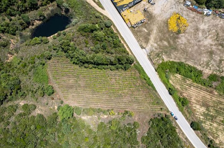 Teren 6.059 mp la intrarea în Folia anunturi imobiliare Grecia