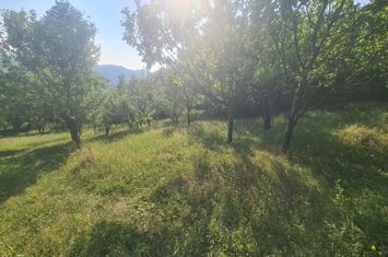 Teren intravilan de vânzare în Breaza - Zona Capul Câmpului anunturi imobiliare Prahova