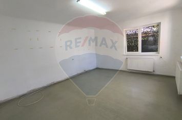 Casă de inchiriat Gheorgheni anunturi imobiliare Cluj