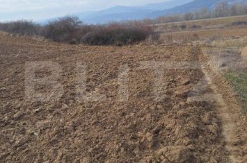 Teren de vanzare ALBA IULIA - Alba anunturi imobiliare Alba