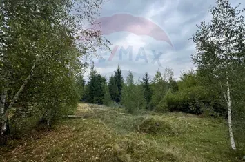 Teren extravilan parcelabil Călățele Pădure, zona Dealu Negru anunturi imobiliare Cluj