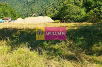 Teren Județul Vâlcea - Brezoi, Valea lui Stan anunturi imobiliare Valcea