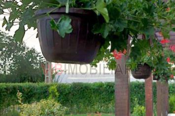 Casa cu teren generos in Mosneni – oportunitate excelenta pentru locuinta sau investitie anunturi imobiliare Constanta