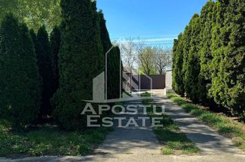 Casa cu piscina si 5 camere in Dinias anunturi imobiliare Timis