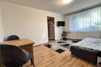 Apartament cu 2 camere, centrala proprie, zona Kaufland Sagului anunturi imobiliare Timis
