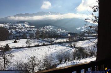 Apartament 17 camere de vanzare EXTERIOR EST - Brasov anunturi imobiliare Brasov