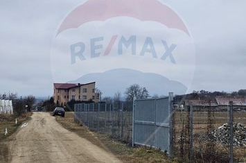 TEREN  INTRAVILAN  5000mp ORAS CISNADIE  STR. SELIMBARULUI anunturi imobiliare Sibiu