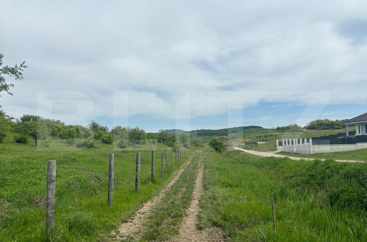 Teren de vanzare BISTRITA - Bistrita-Nasaud anunturi imobiliare Bistrita-Nasaud
